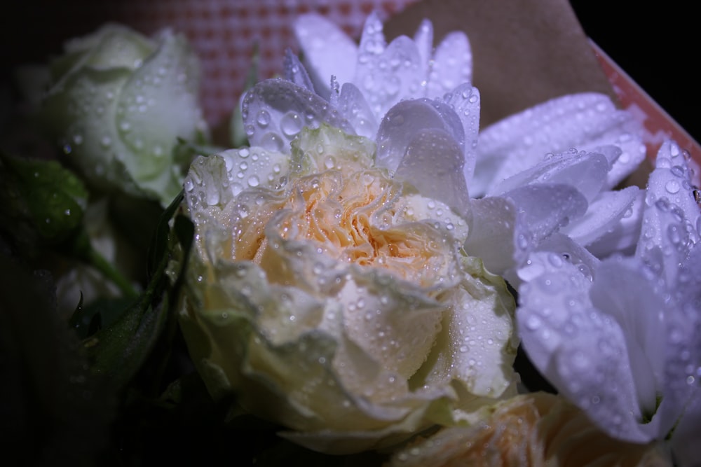 a bouquet of flowers with water droplets on them