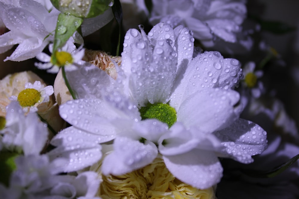 a bouquet of flowers with water droplets on them