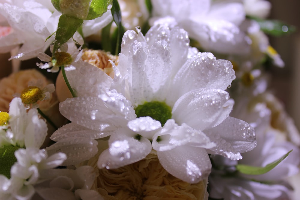 a bouquet of flowers with water droplets on them