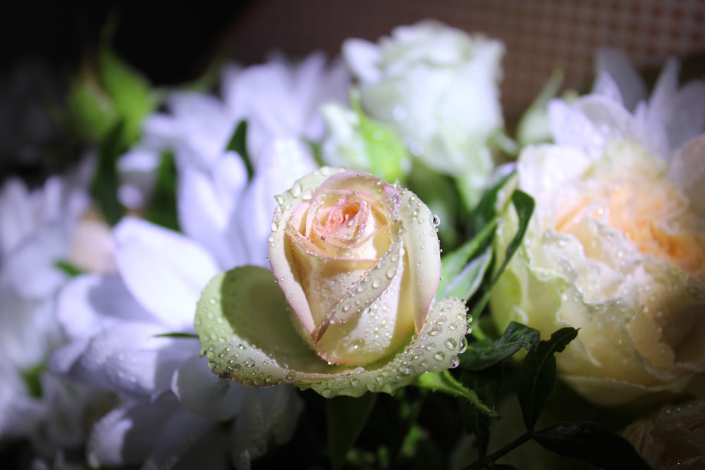 a bouquet of flowers with water droplets on them