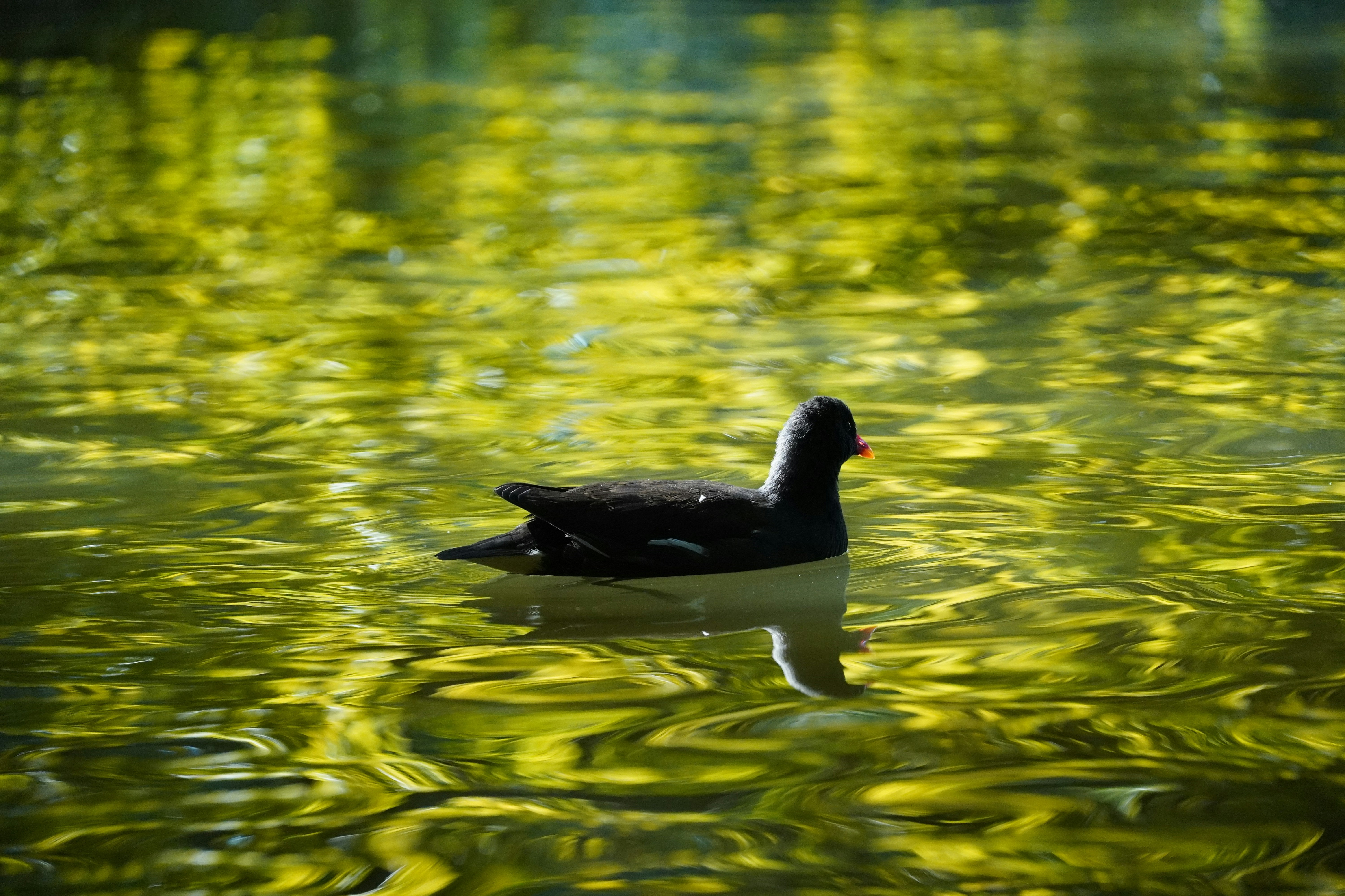 Photo by theodor_jacob