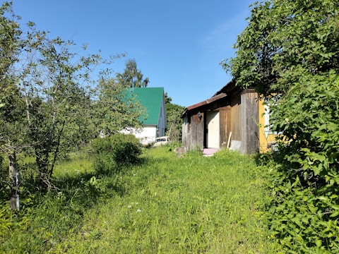A lush green landscape with an overgrown garden surrounds a rustic wooden shed and a house with a green roof. The sky is clear and blue, adding to the serene atmosphere.