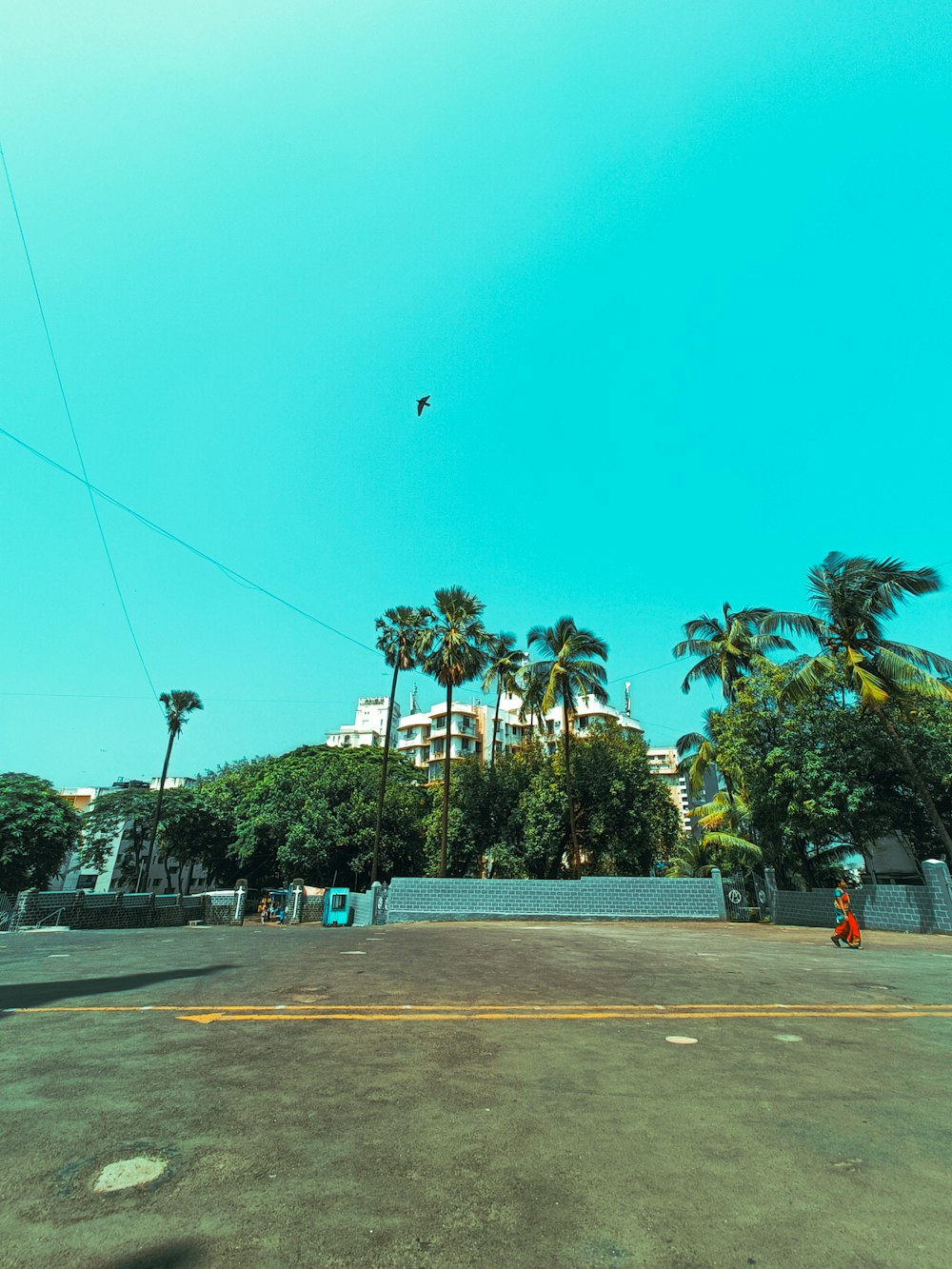 a person riding a skateboard on a city street