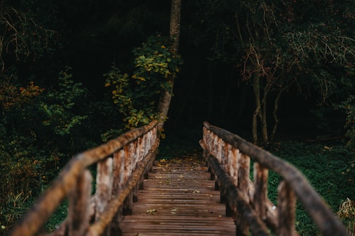 A wooden footbridge leads into a dense, dark forest. The bridge is rustic and appears weathered with age, surrounded by lush green foliage and tall trees. The atmosphere feels mysterious and slightly eerie.