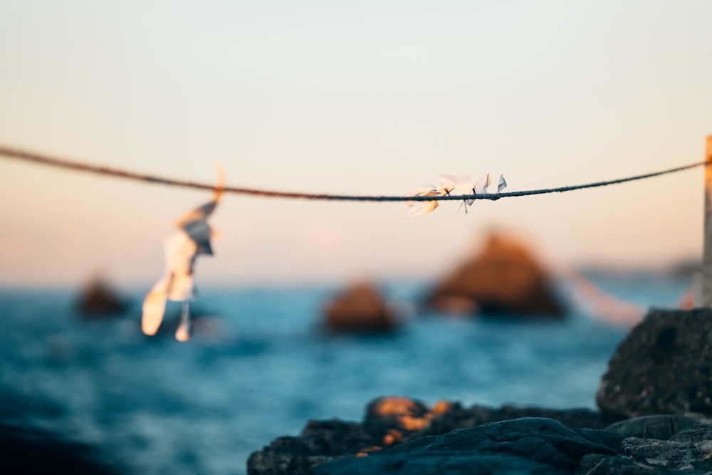 a line of clothes hanging from a wire over a body of water