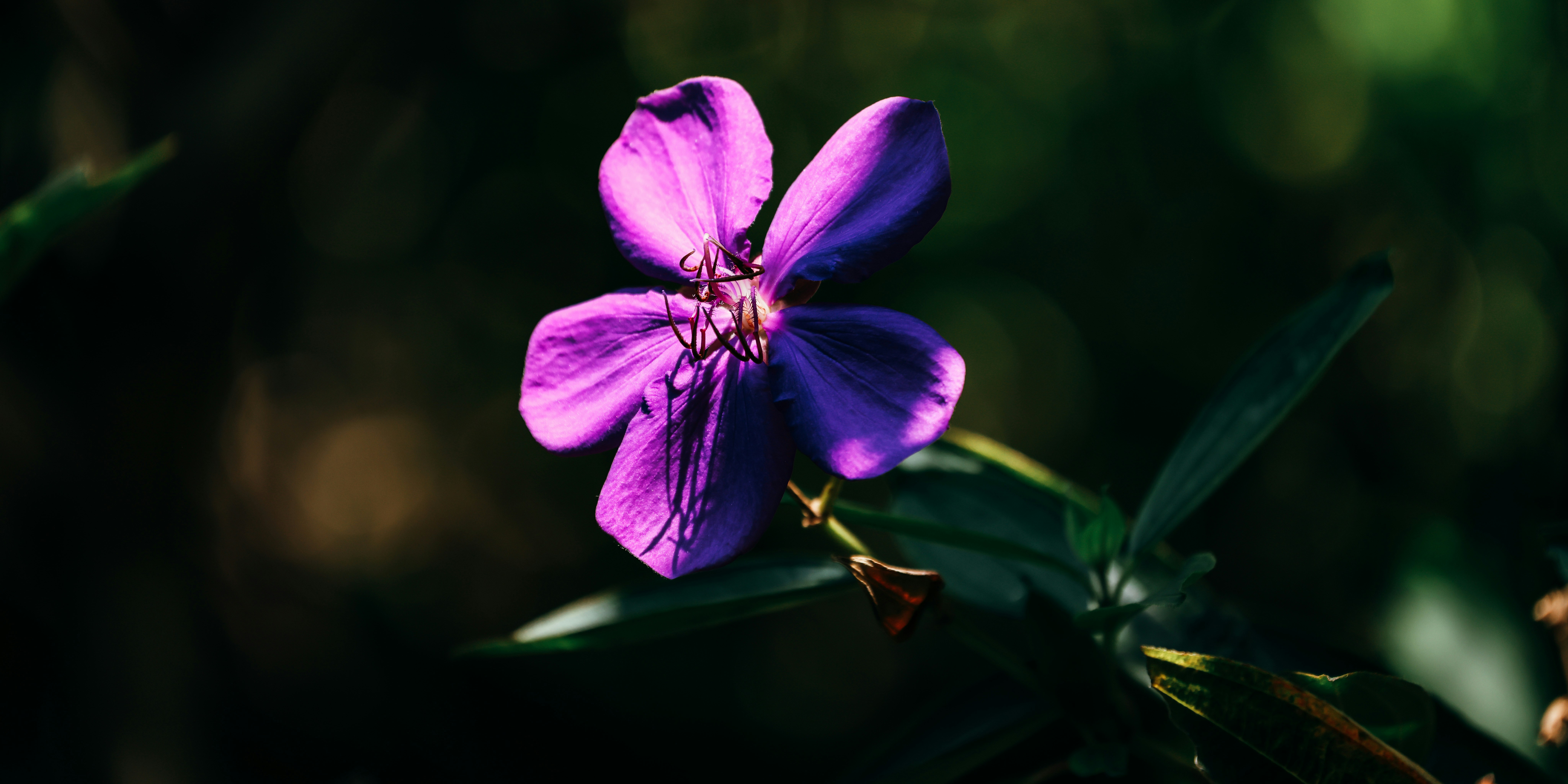 Photo by dickenslin76