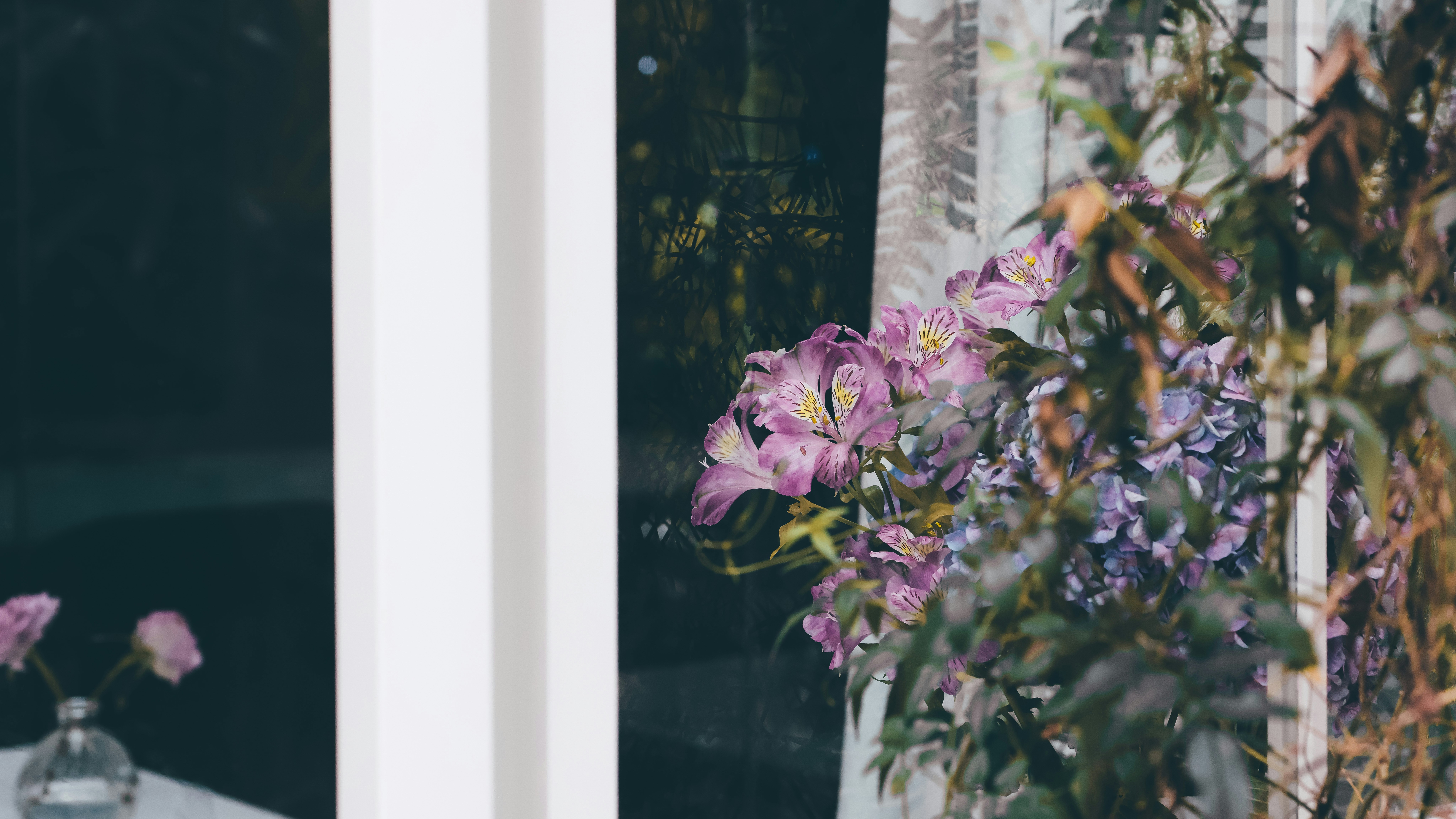 Photo by dickenslin76