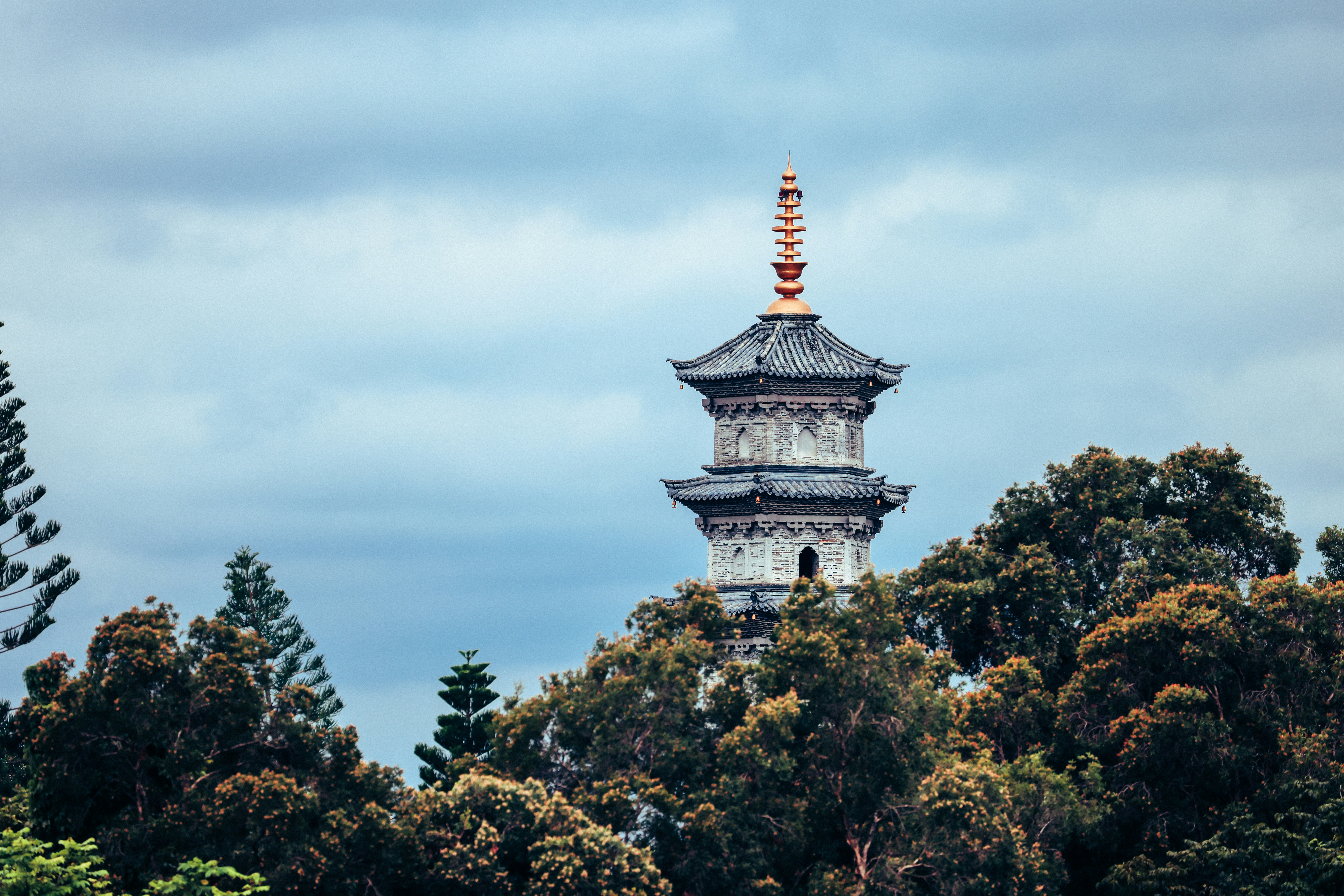 Photo by dickenslin76