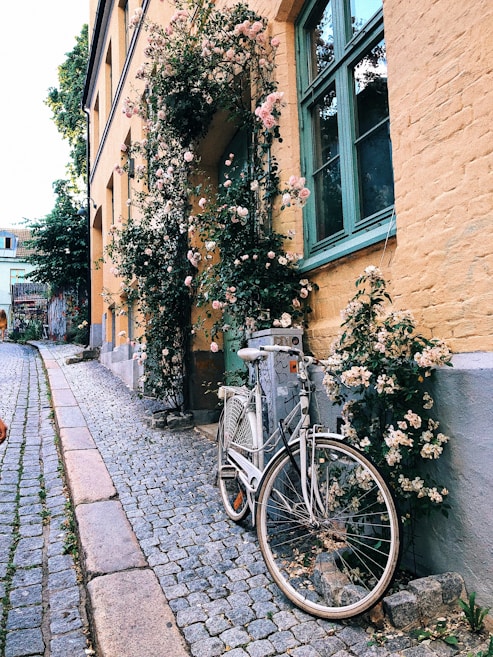 A vintage bicycle is parked against a wall on a charming cobblestone street. The wall is adorned with climbing pink roses and features a pair of teal-framed windows. The setting suggests a quaint and picturesque urban area with a mix of natural and architectural elements.
