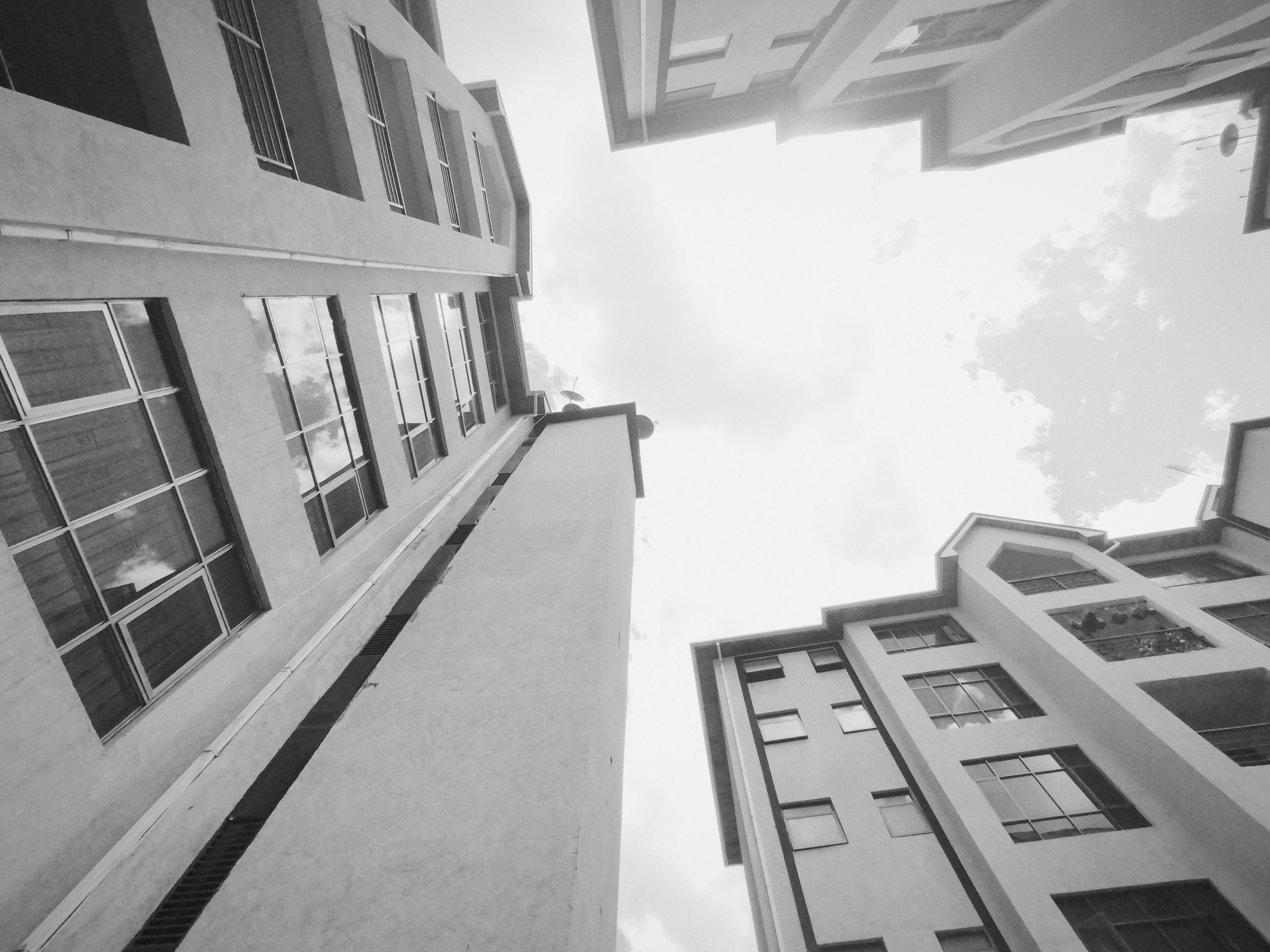 Photo by sternmadegwa