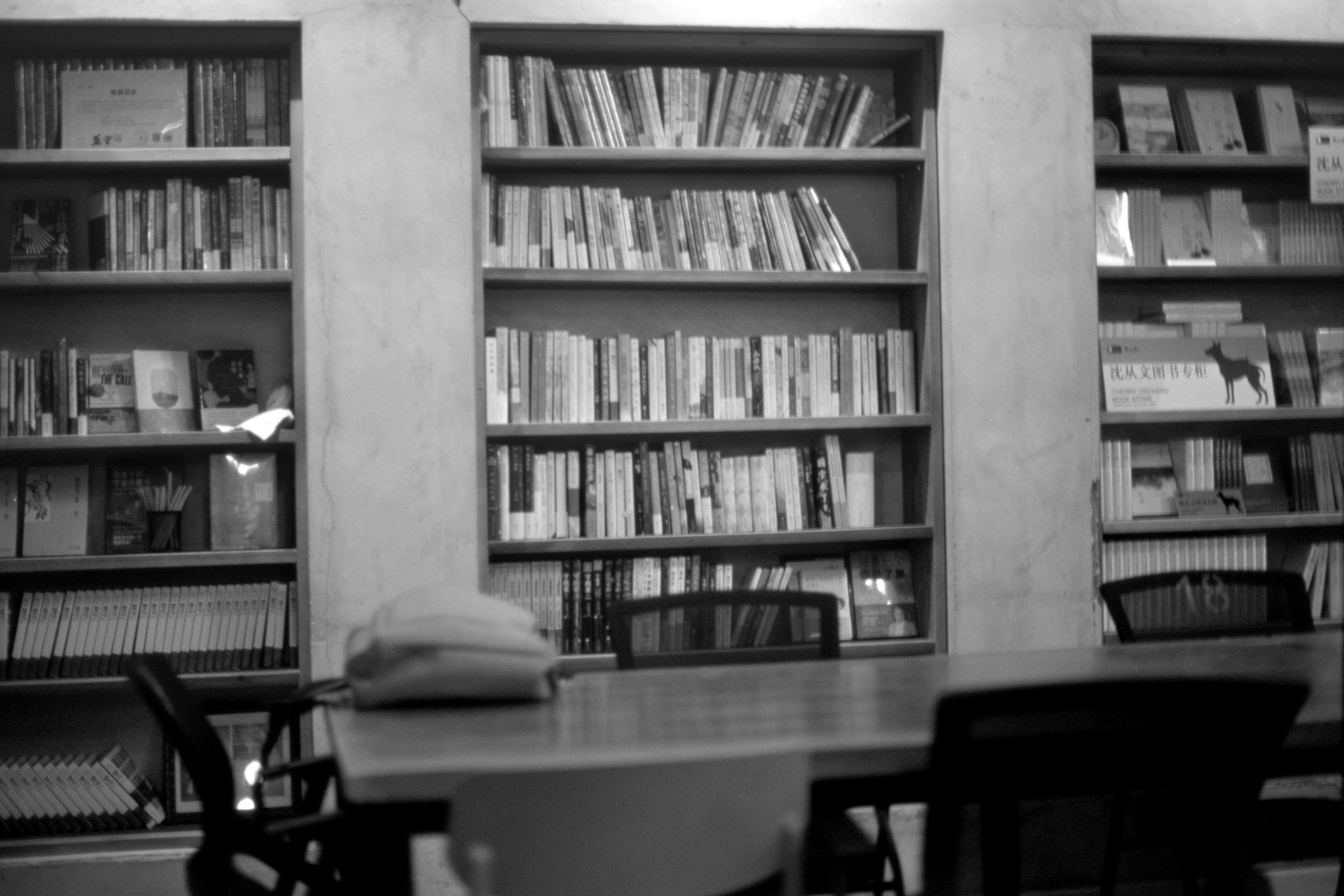 Photo by greedwolf97