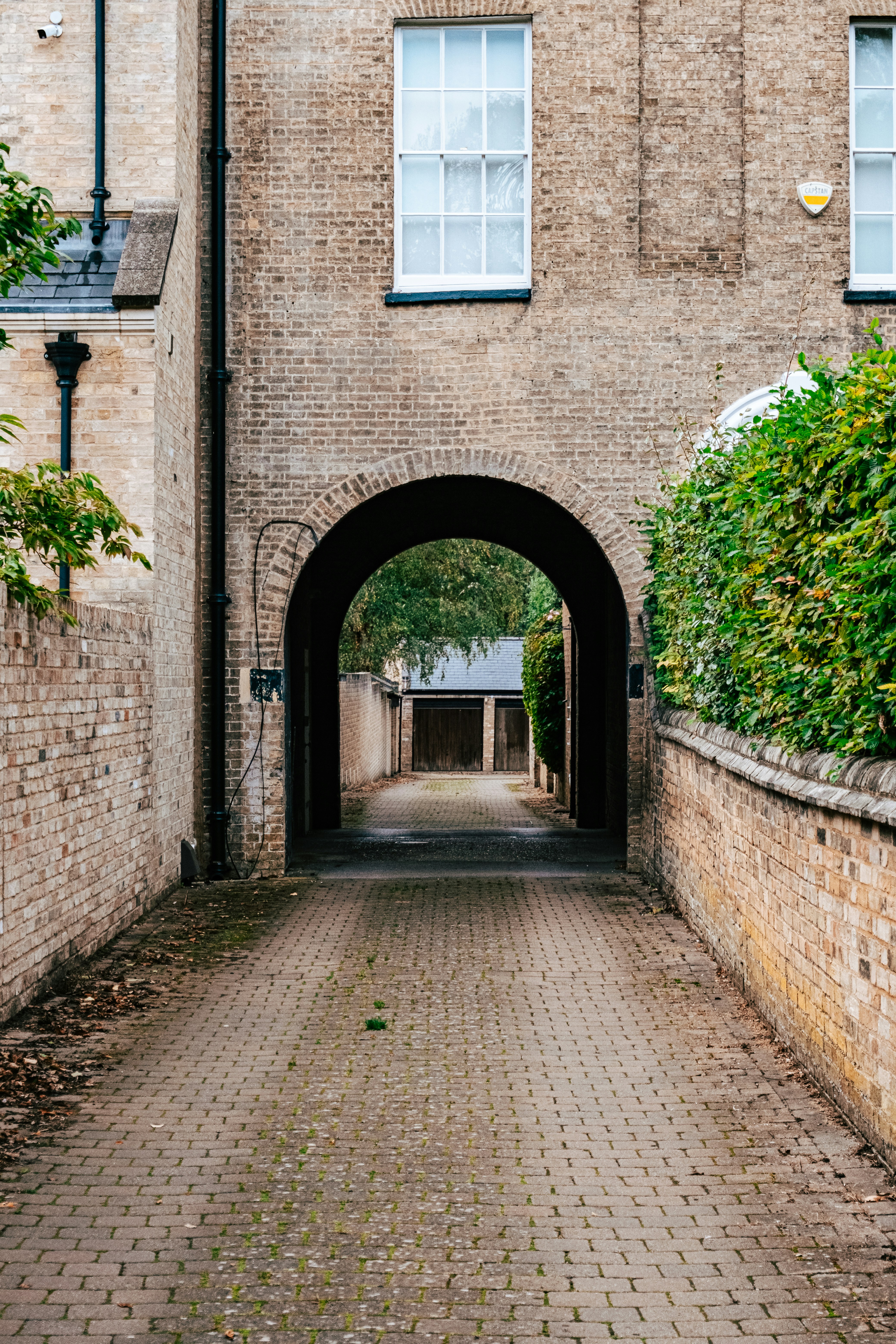 Photo by reganography