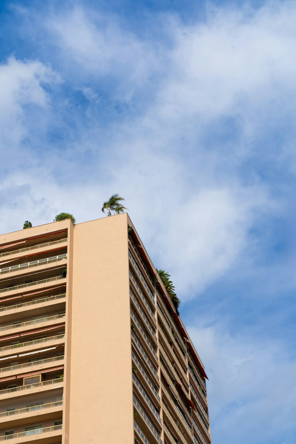 Un edificio alto con una palmera en la parte superior