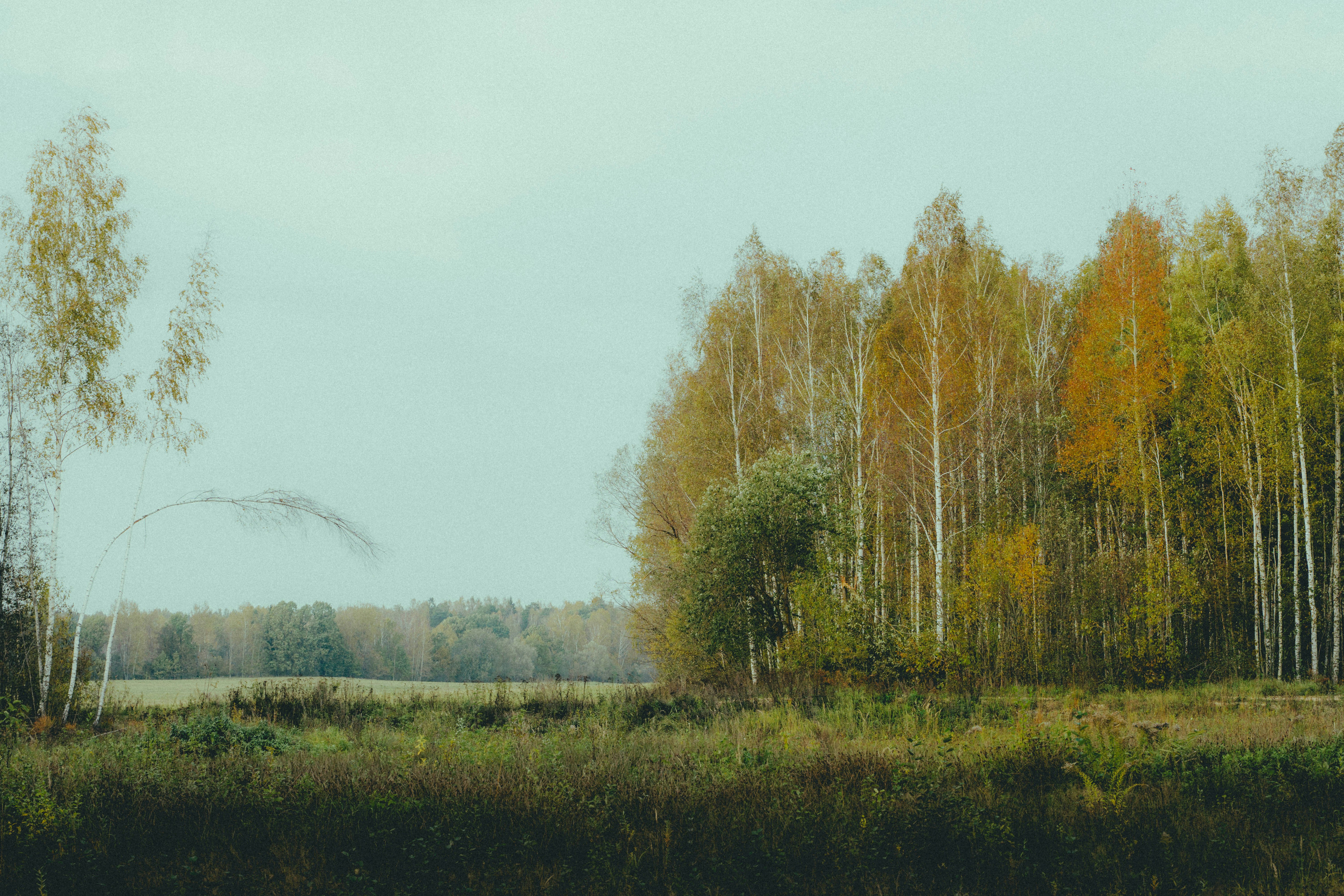 Photo by abalashevsky