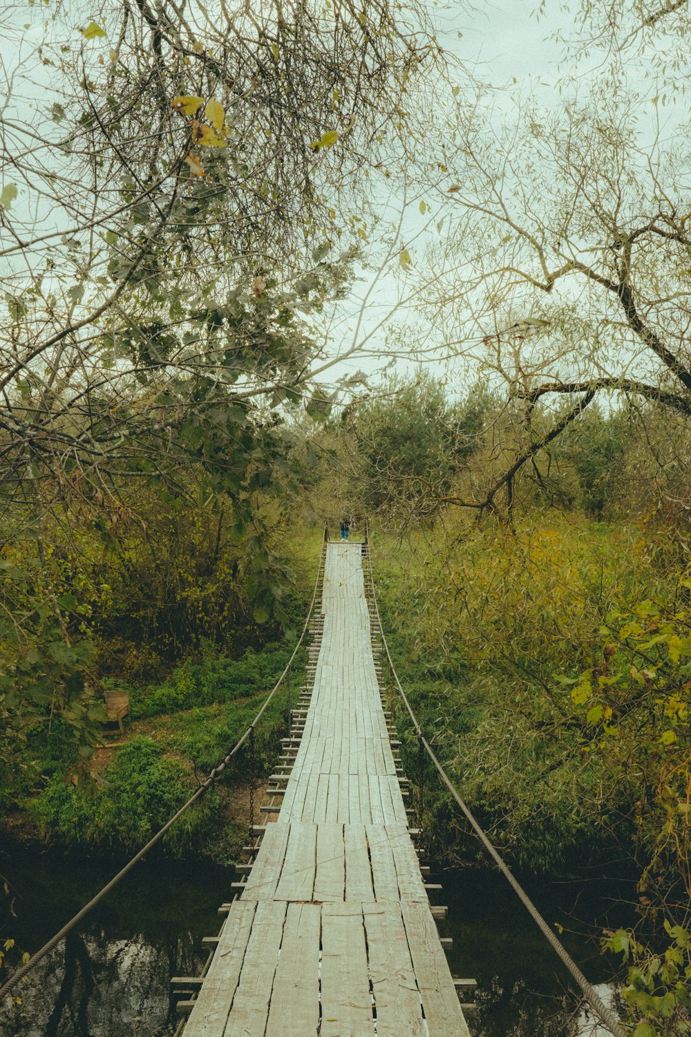 a wooden bridge crossing over a river in a forest