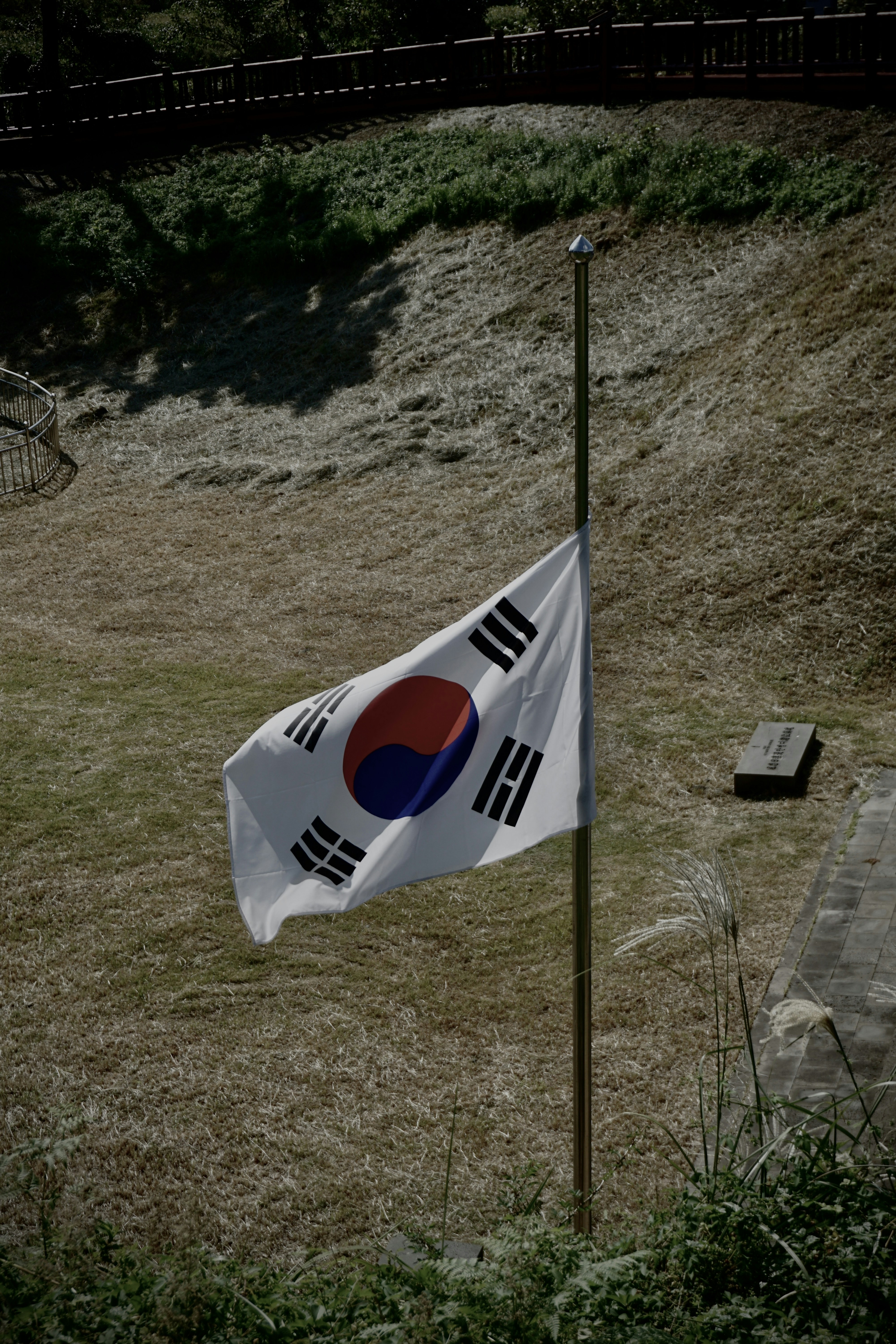 a flag on a pole in a grassy field