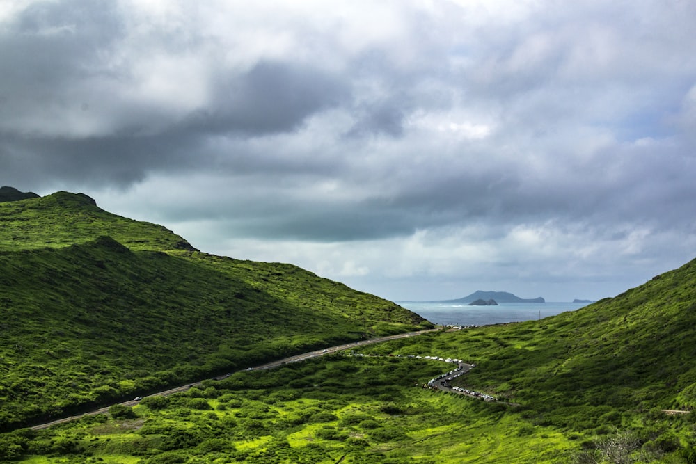 a lush green hillside with a road going through it