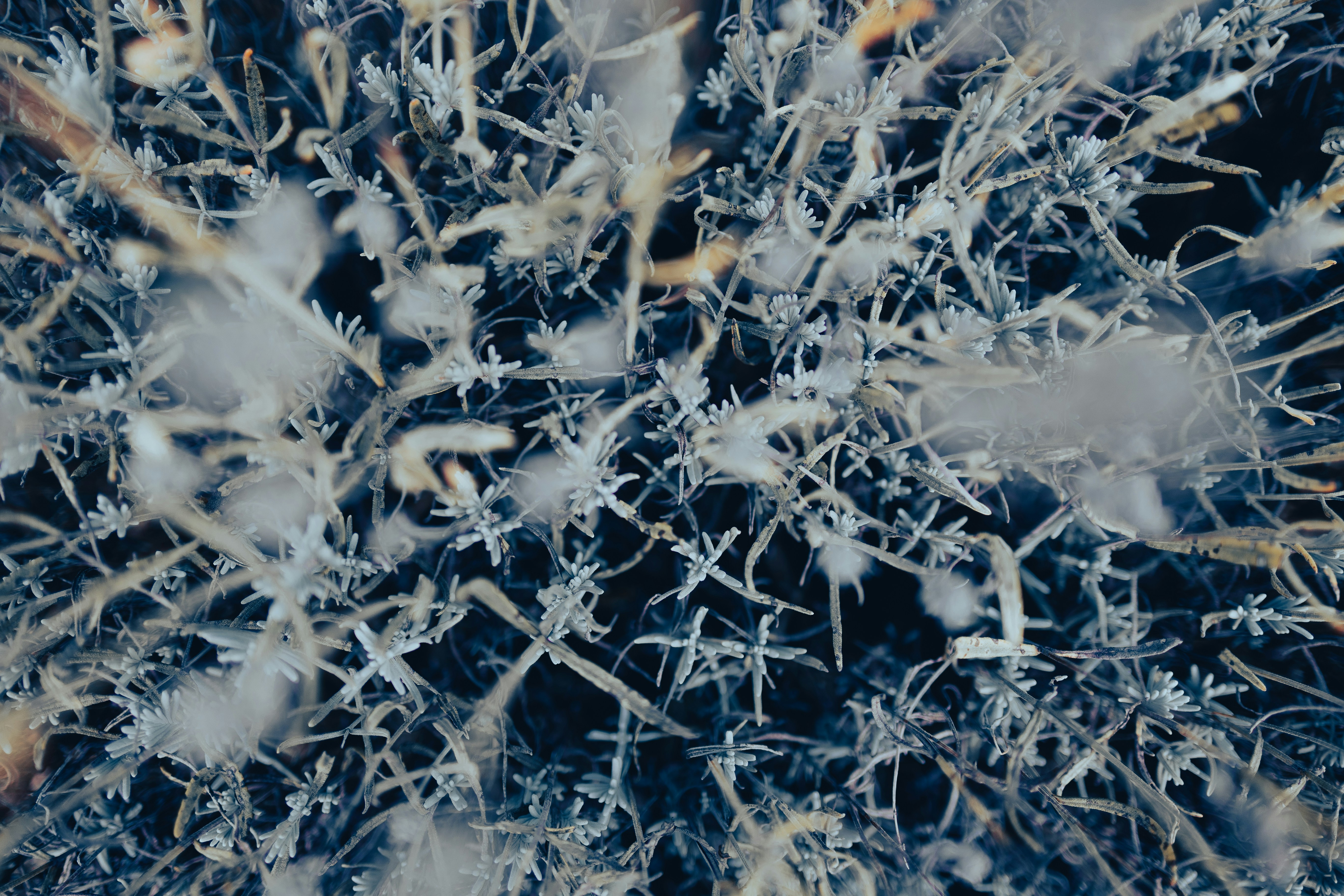 Building Taxonomies: How Classification Transforms Understanding