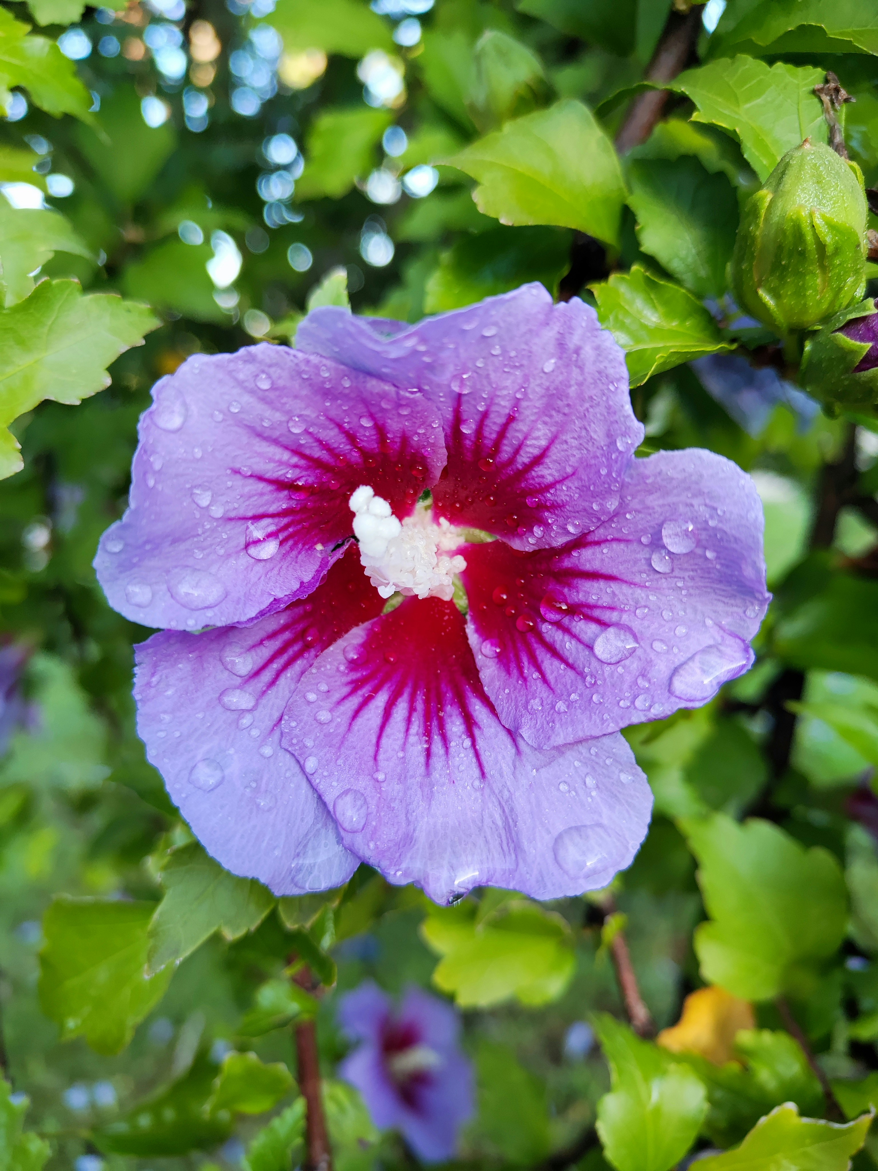 Photo by inesperada17