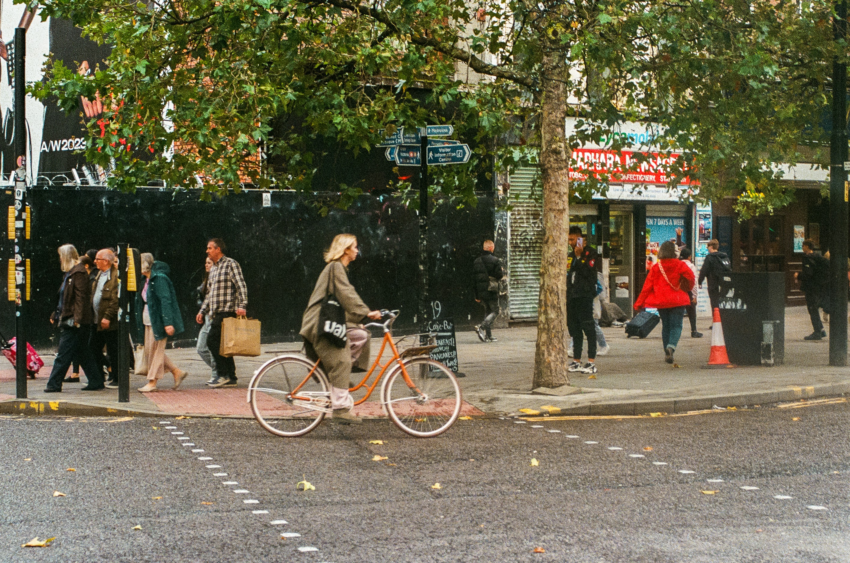 Unveiling the Secrets to Thriving Lavender