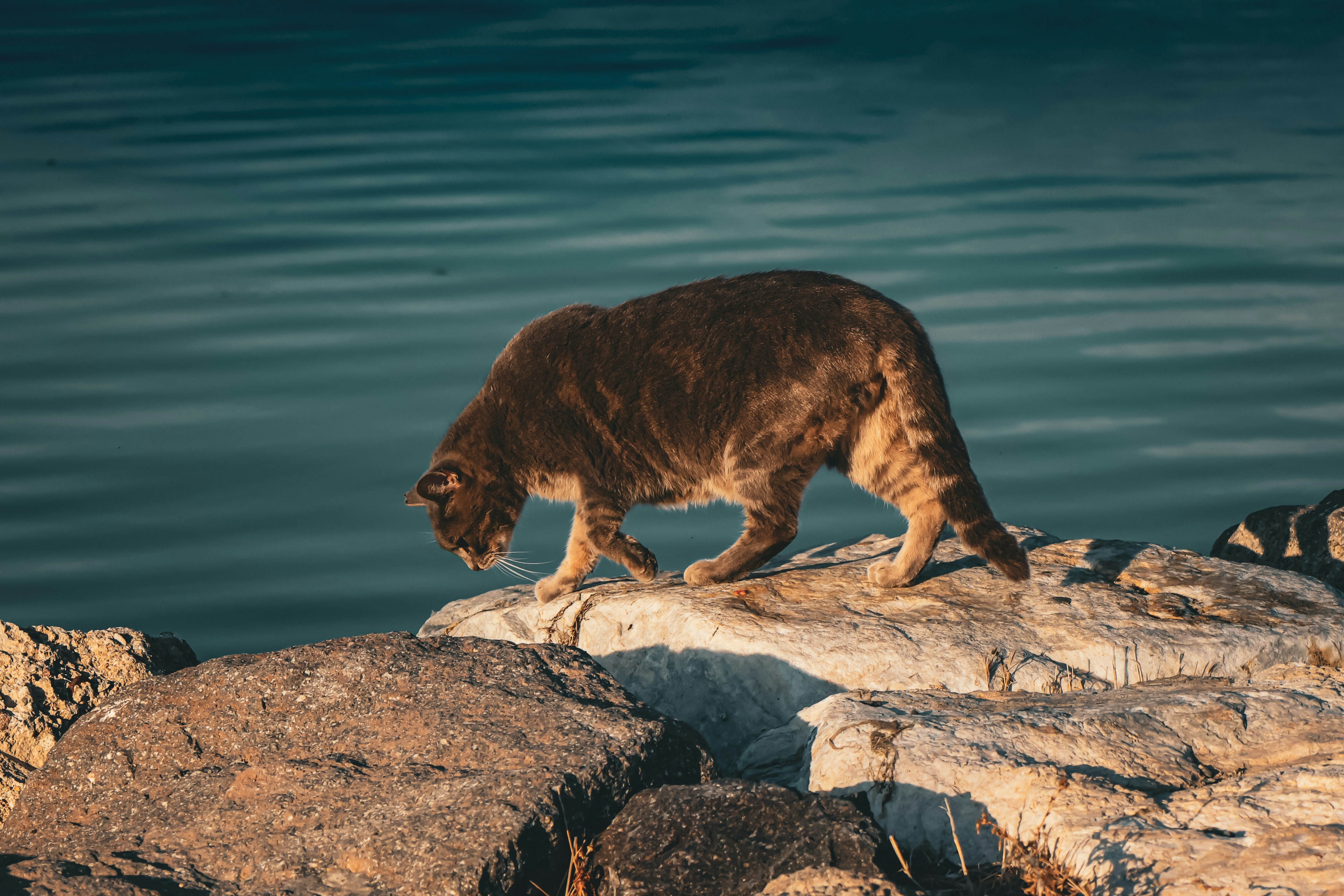 Weekend FTB: It's going to be a very long weekend