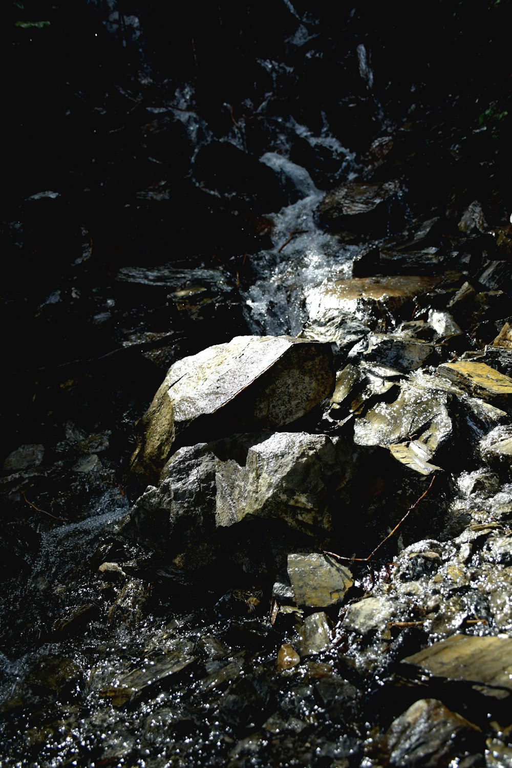 una corriente de agua que corre sobre las rocas en un bosque