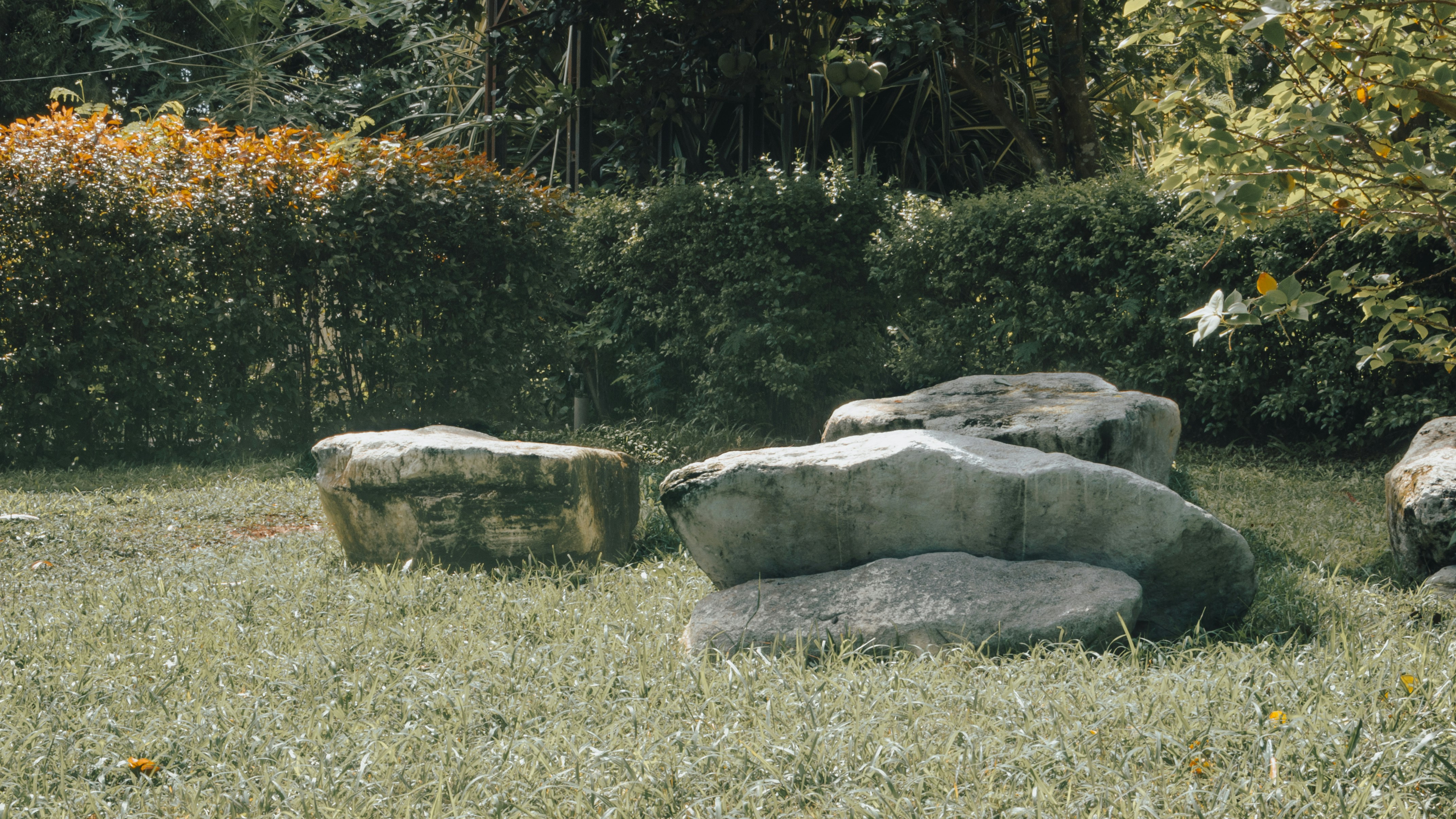 Photo by yanukadeneth99