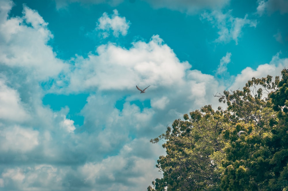 a plane flying through a cloudy blue sky