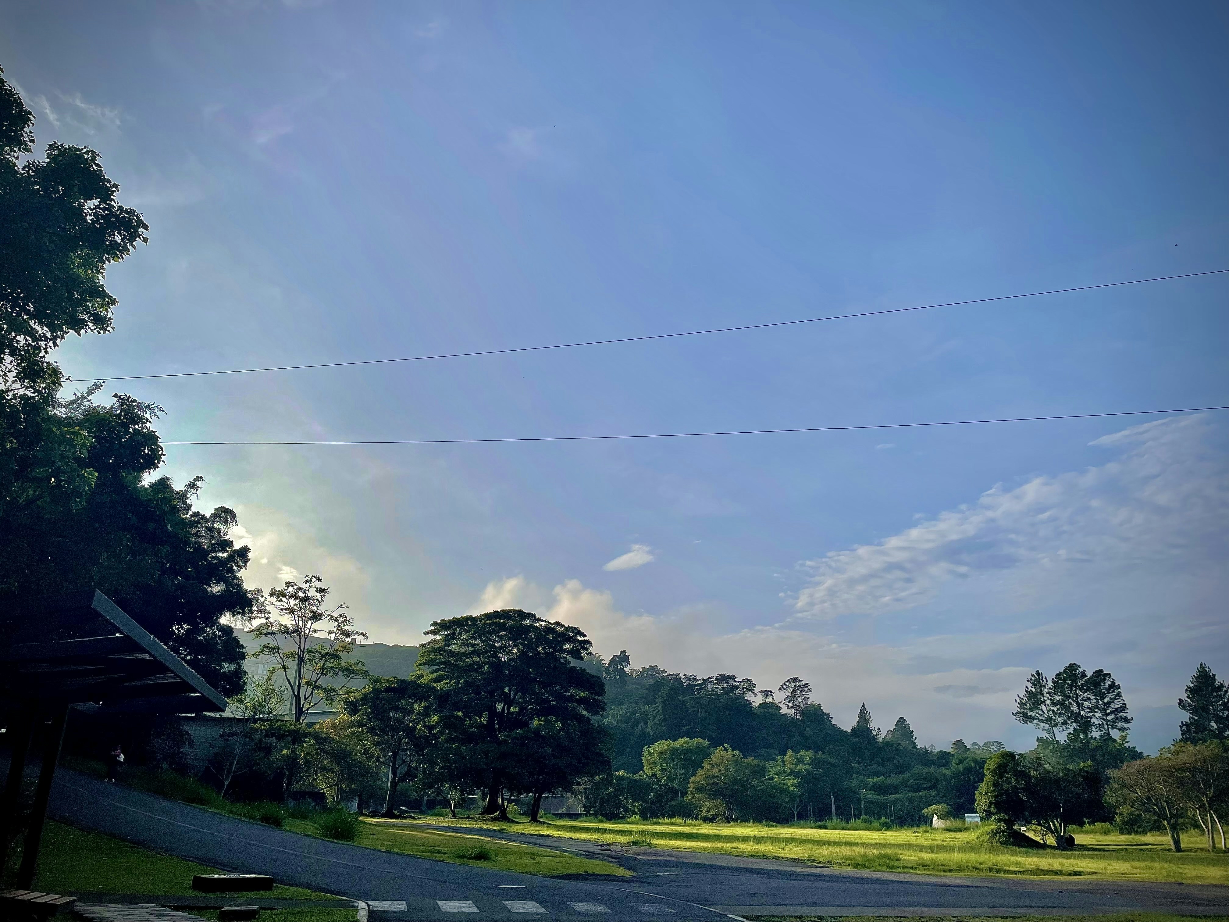 5-Acre Oregon Lot
