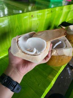 Close-up of a freshly cut coconut revealing its white flesh and clear water inside.