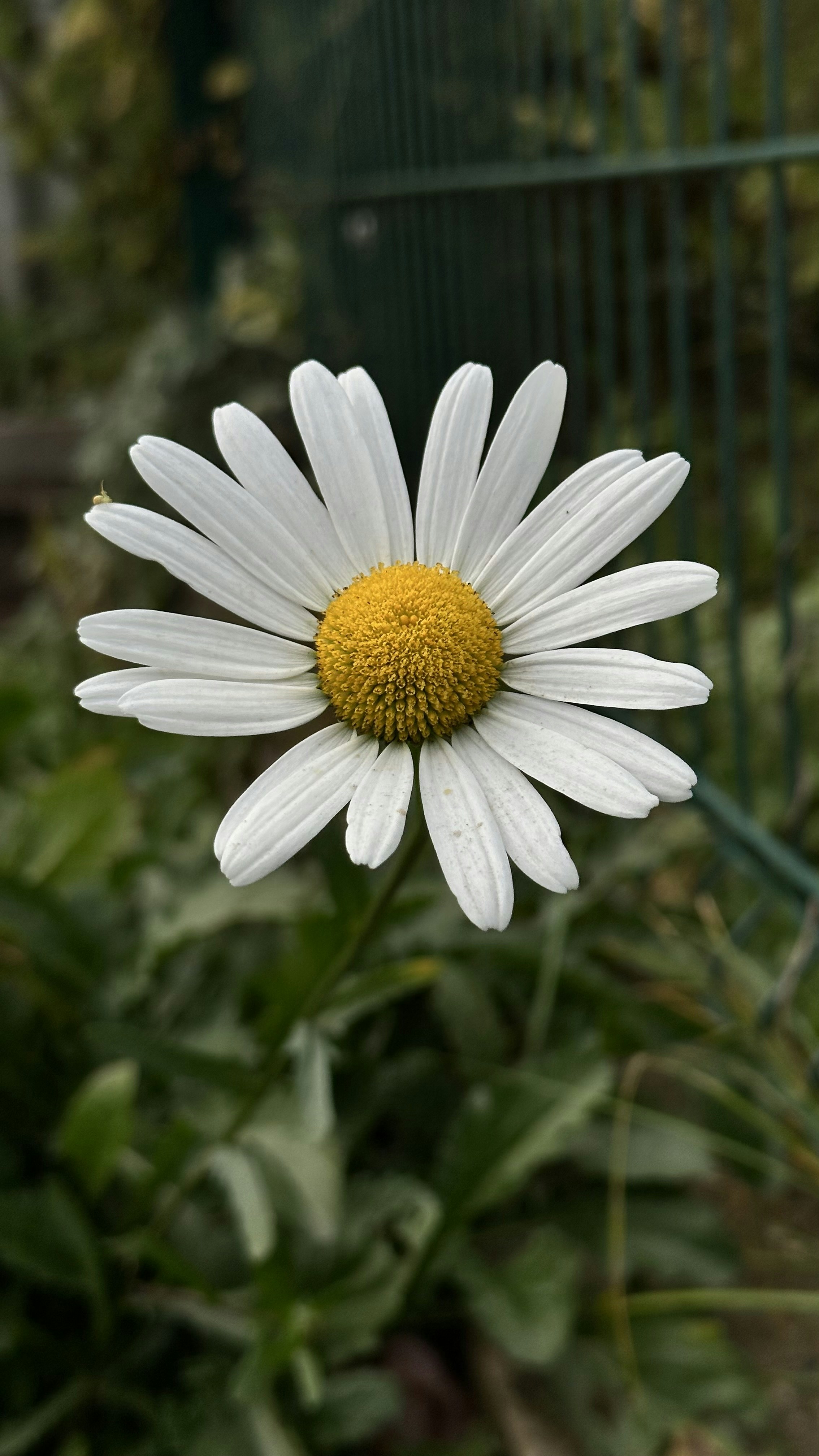 Photo by viyoursoul0909