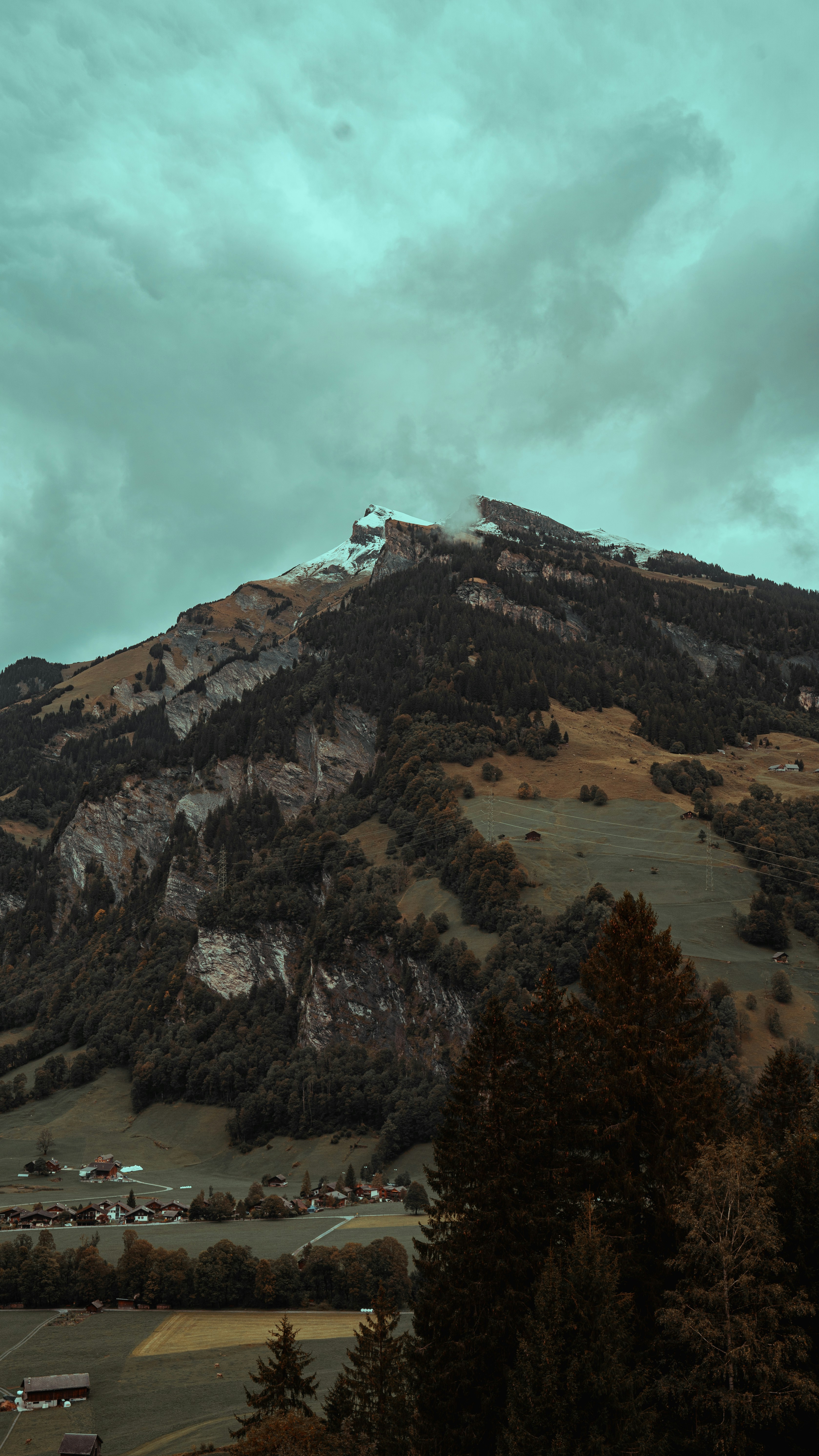 a large mountain with trees on the side of it