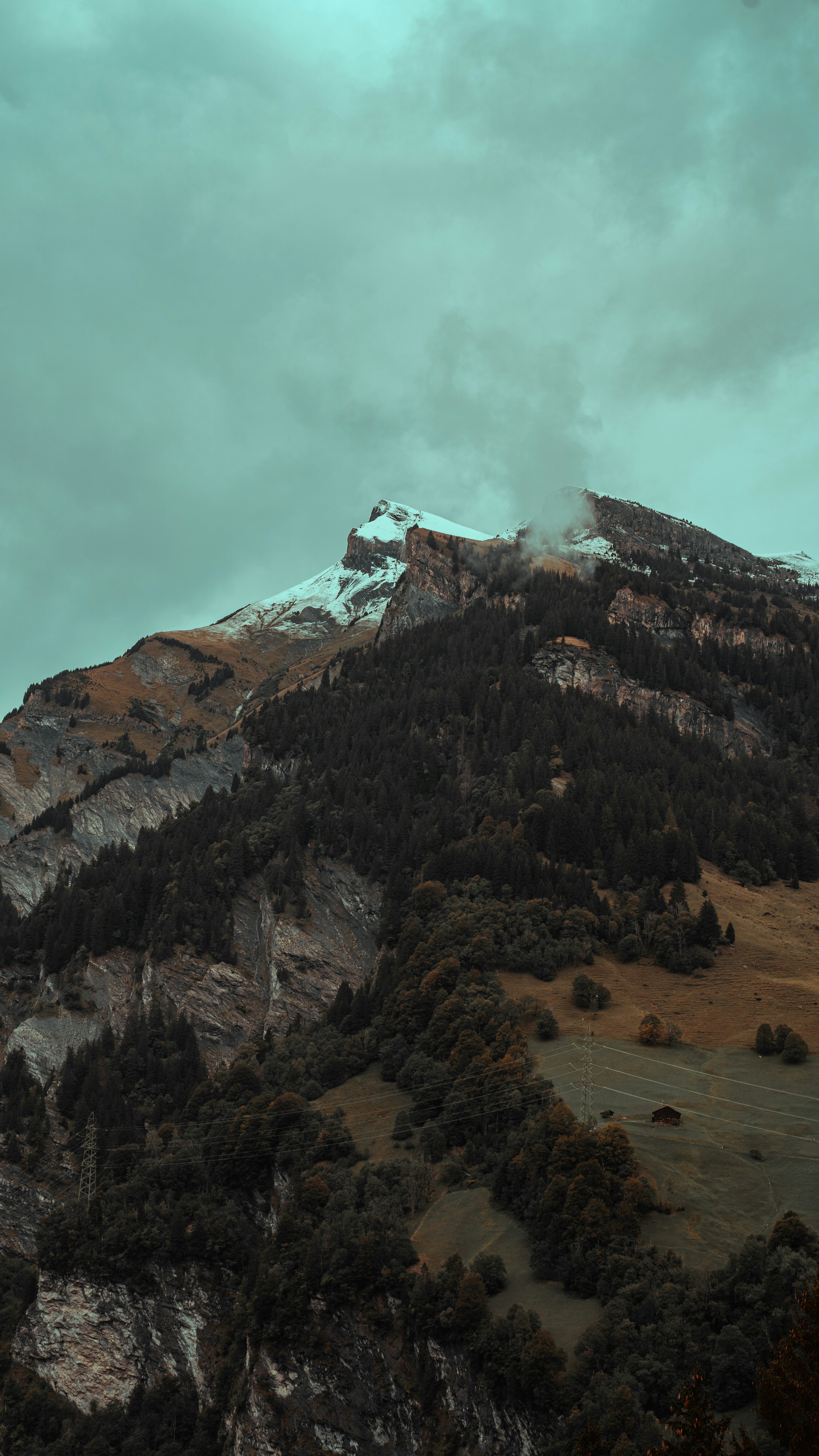 a mountain covered in snow and trees under a cloudy sky