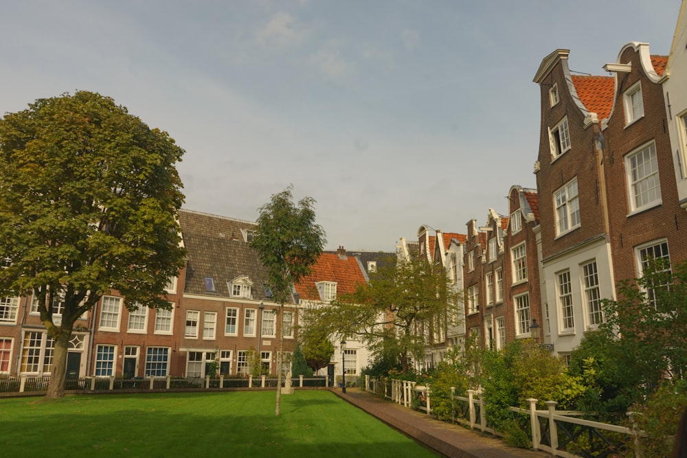 a row of brick buildings next to a lush green park