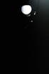 a group of birds flying in the dark