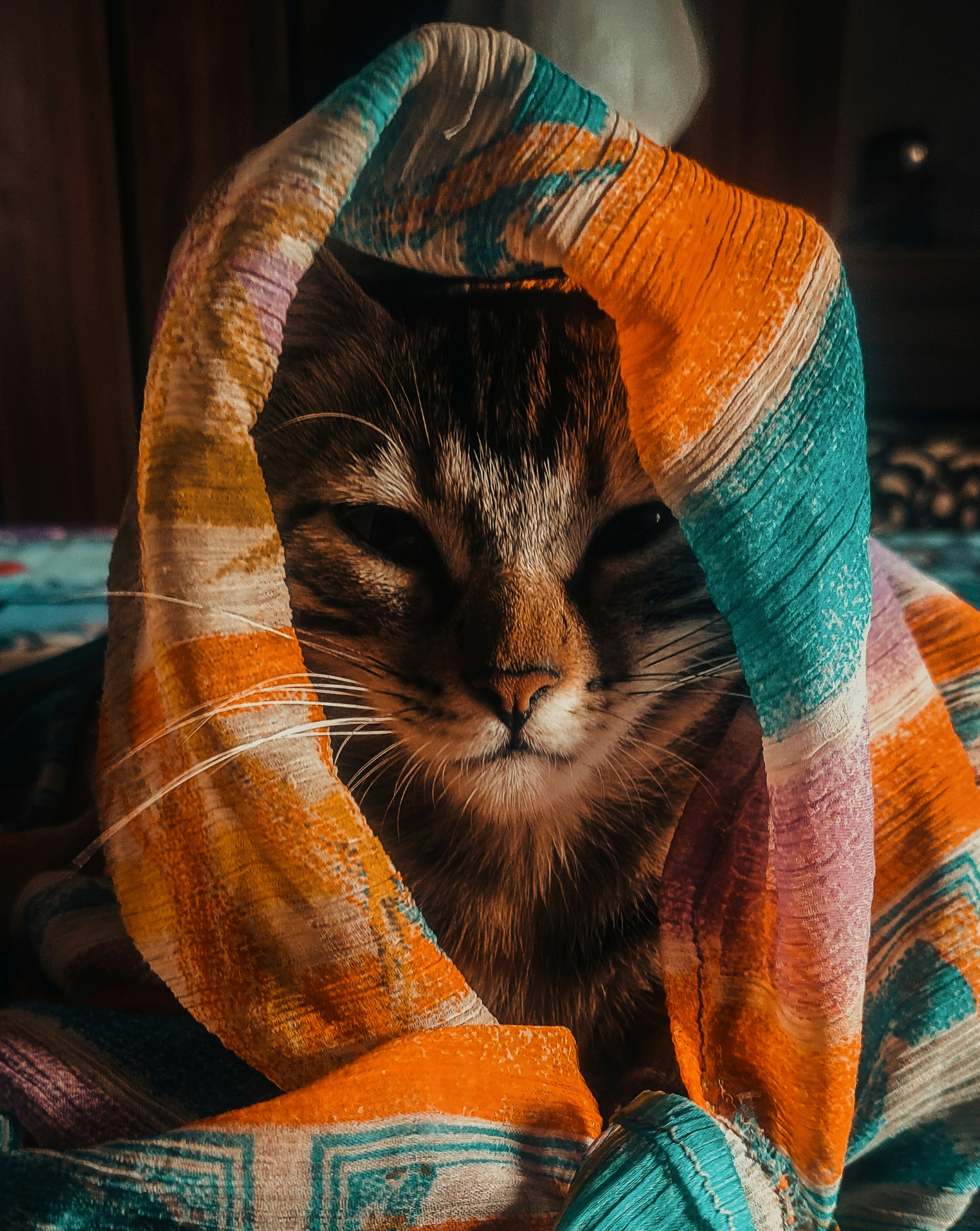 25. Sudden Temperature Changes: Hot and Cold Drama (image credits: unsplash)