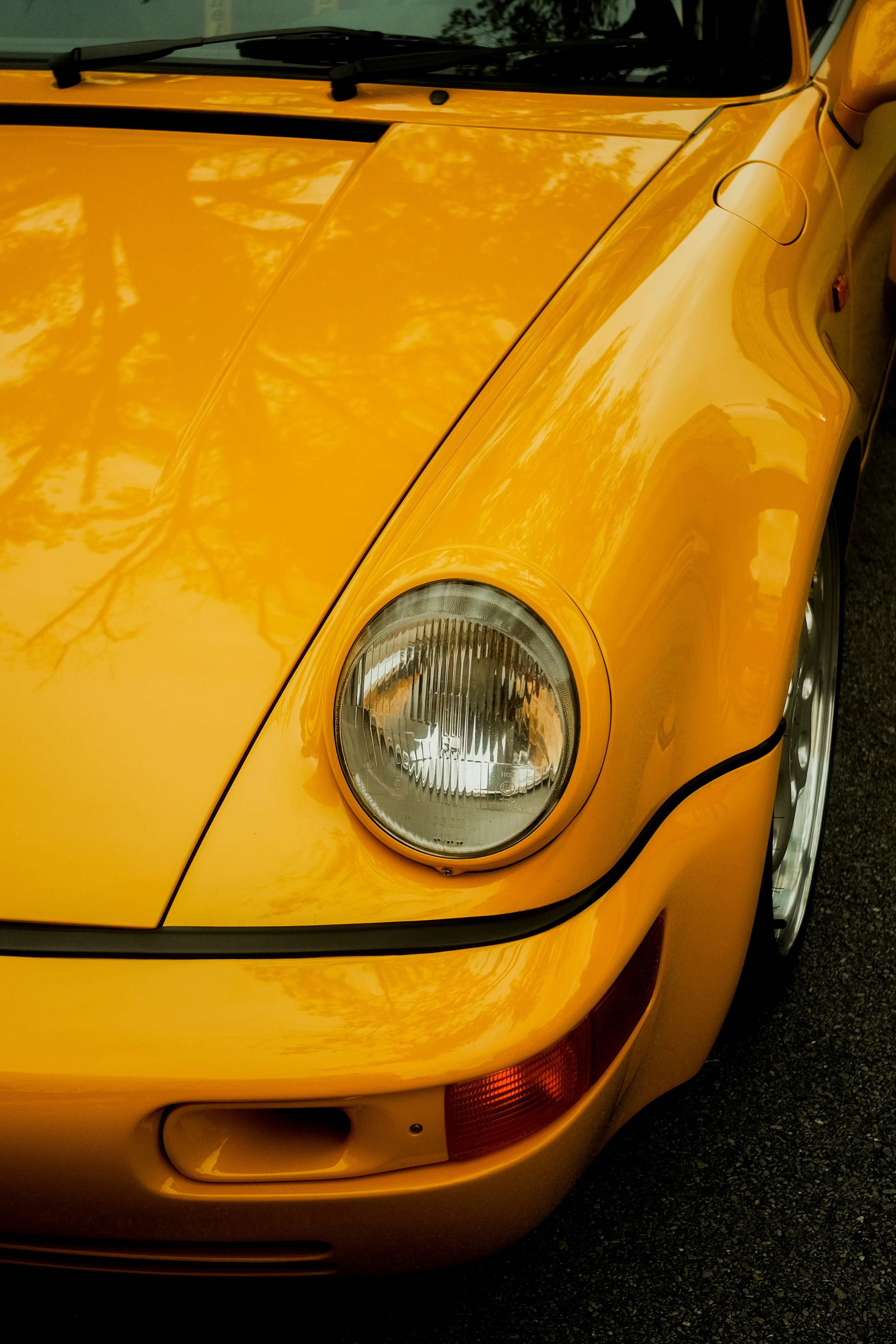 Photo by david_moorhouse