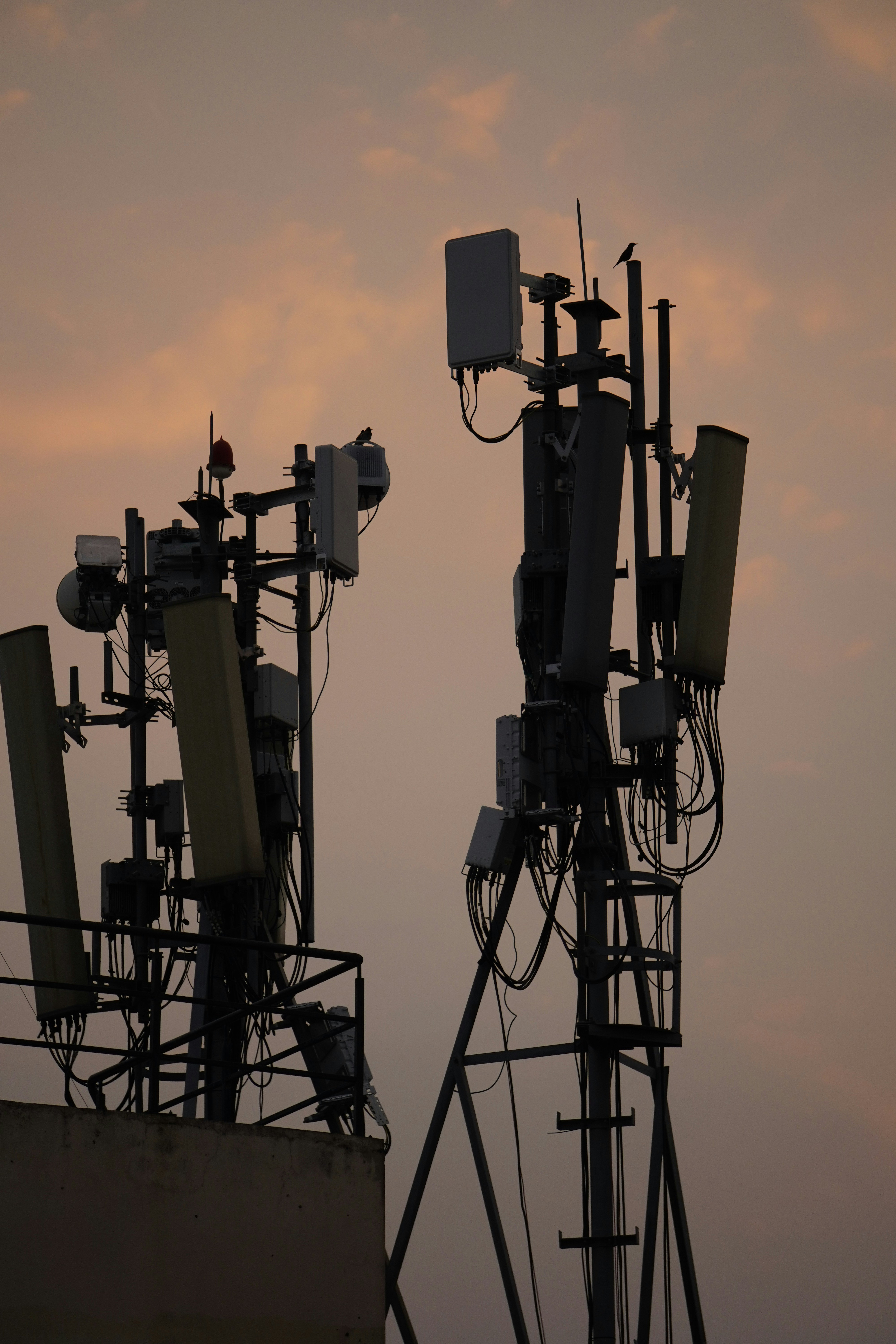 Photo by technorajat24