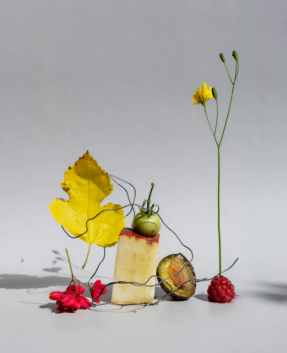 a bunch of fruit and flowers on a white surface