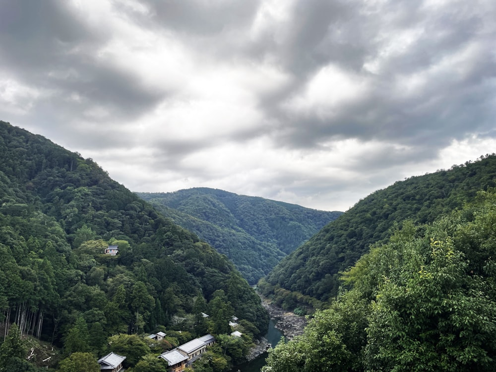 a scenic view of a valley surrounded by trees