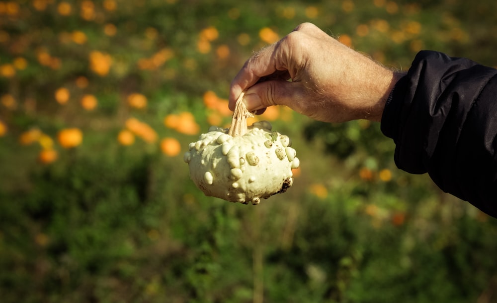 a person holding a piece of food in their hand