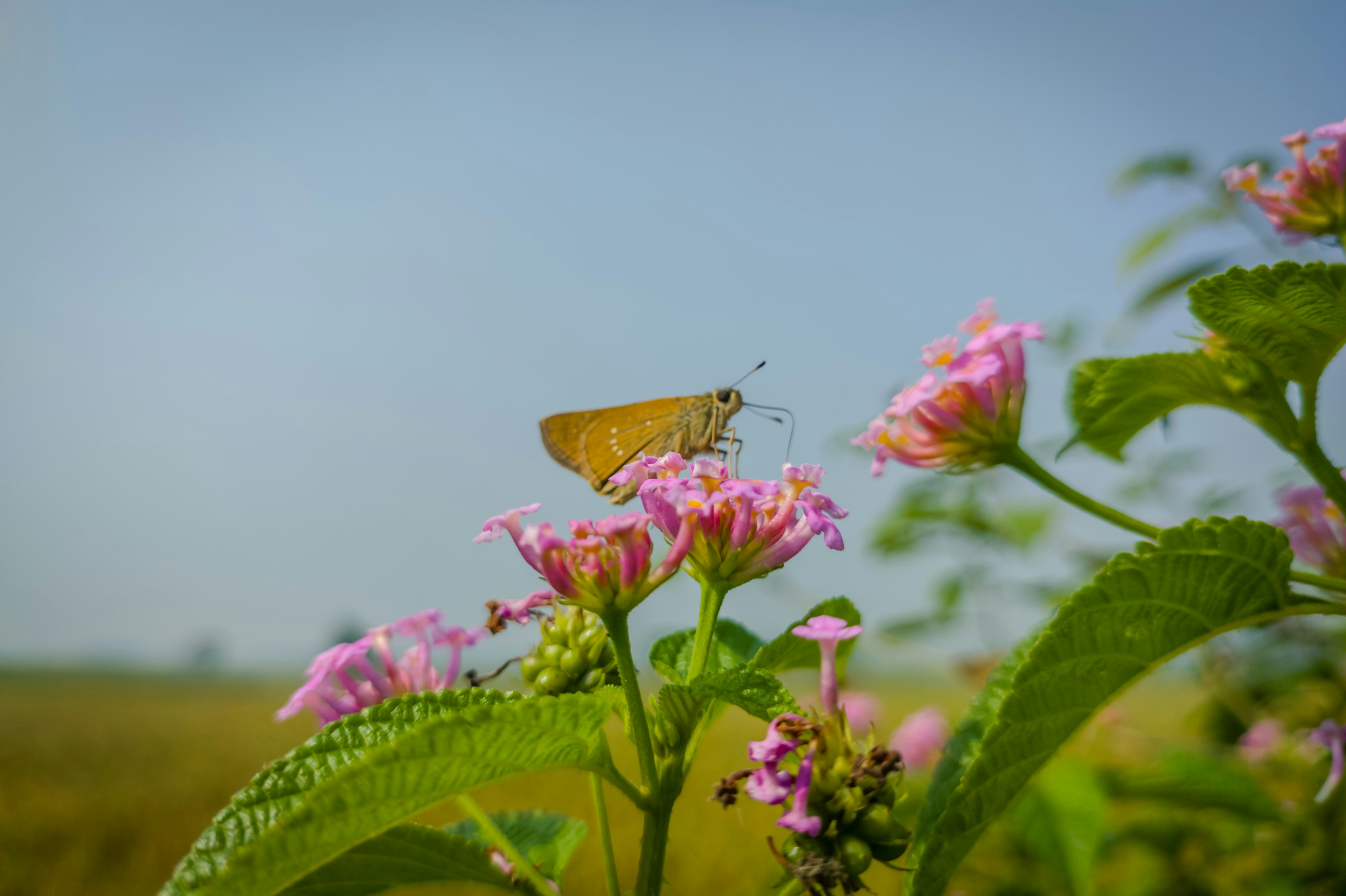 Photo by imageshutter85