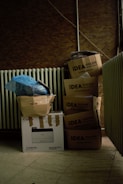 cardboard disposal and junk removal Seattle, WA