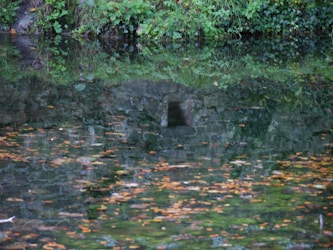 Transform Your Outdoor Space with Quality Water Features from Carolina Pondscapes