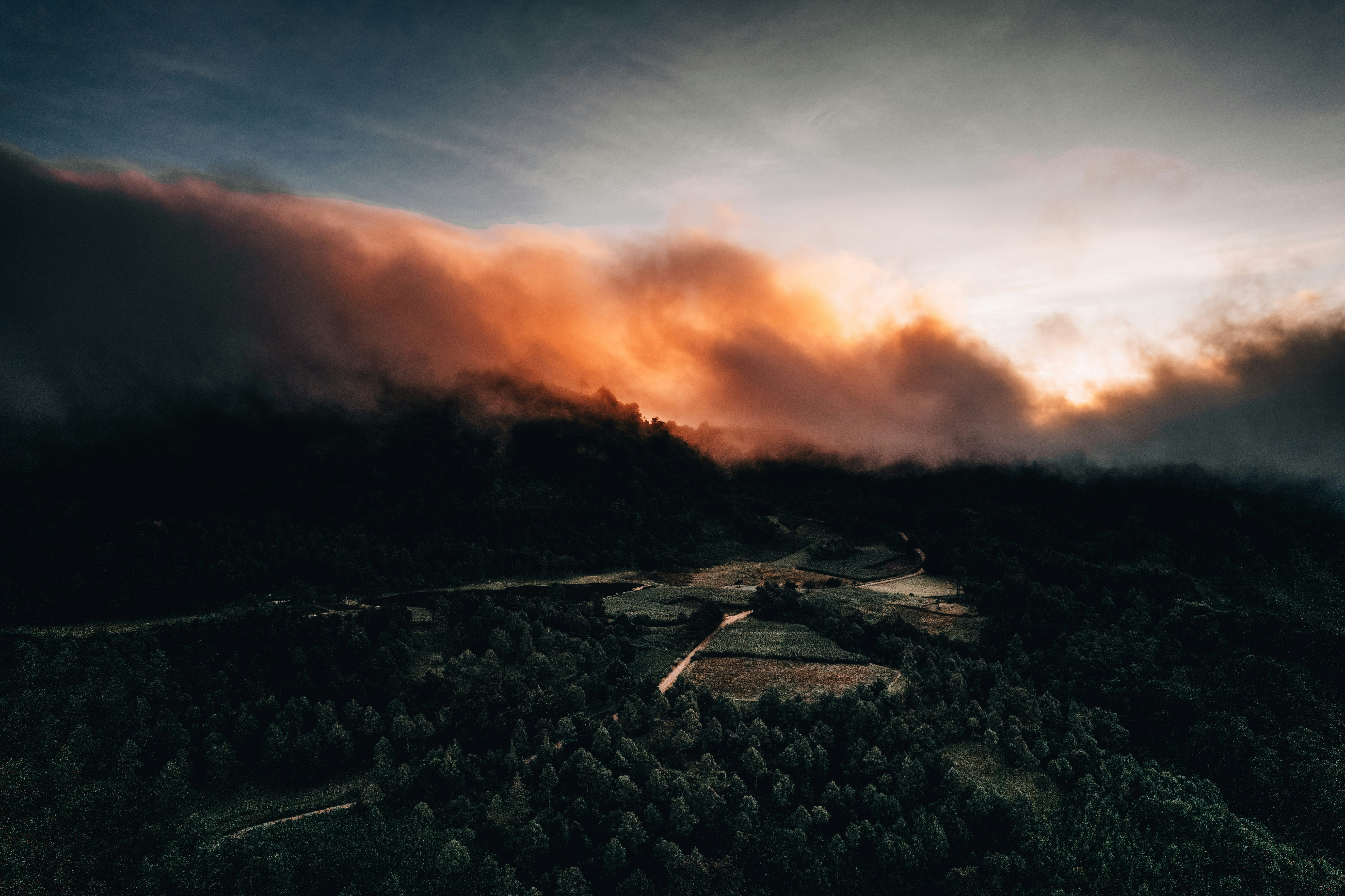 Personal Stories from the Front Lines (image credits: unsplash)