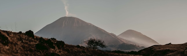 a view of a mountain with a tree in the foreground