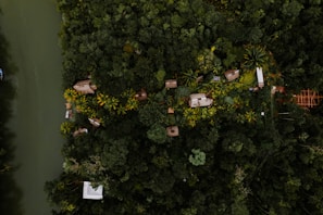 An aerial view of a dense, lush green tropical forest with a series of small, scattered wooden structures resembling huts or cabins built along a narrow path. A river runs adjacent to the forest on one side, with a boat visible in the water. The scene is filled with an abundance of various shades of green from the vegetation, interspersed with hints of earthy browns from the buildings.