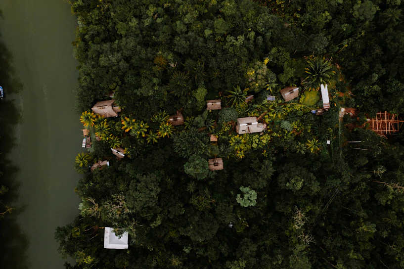 Aerial view of lush green plots of land surrounded by dense Amazon rainforest in Puerto Maldonado.
