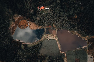 An aerial view of a landscape featuring a dense forest surrounding several bodies of water. The image includes a circular pond with marshland around it and two larger, irregularly shaped ponds or lakes. A small residential area with several buildings featuring red roofs is visible near the top of the image. There are clearly defined pathways and roads interconnecting the various parts of the landscape.