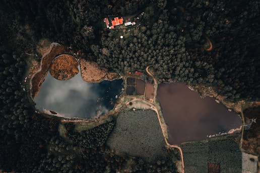 An aerial view of a landscape featuring a dense forest surrounding several bodies of water. The image includes a circular pond with marshland around it and two larger, irregularly shaped ponds or lakes. A small residential area with several buildings featuring red roofs is visible near the top of the image. There are clearly defined pathways and roads interconnecting the various parts of the landscape.